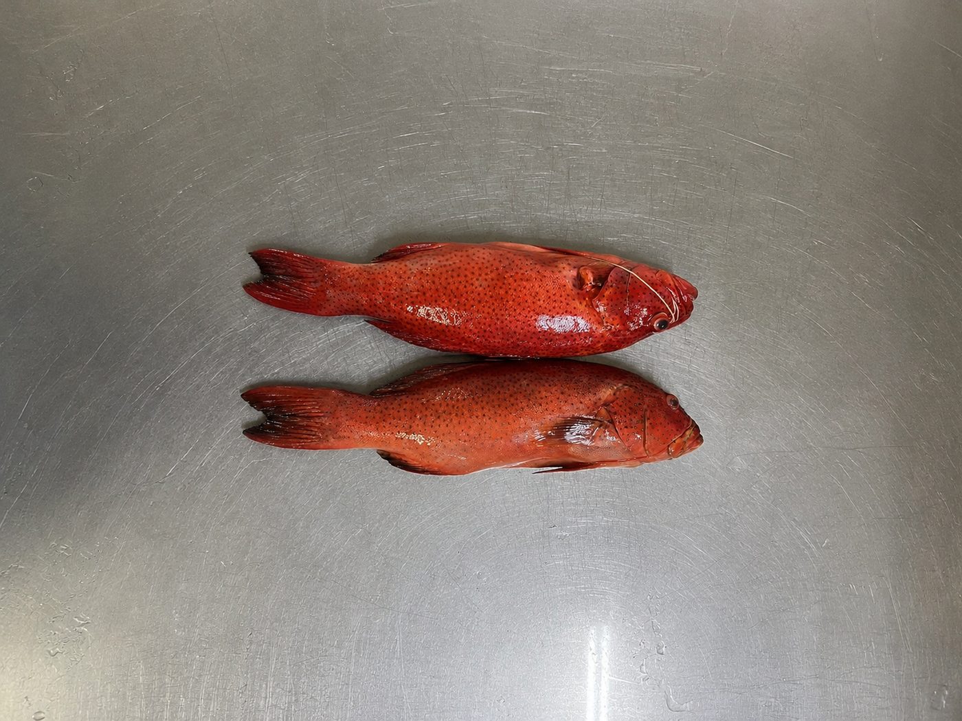 Grouper
